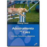 Adestramento De Cães