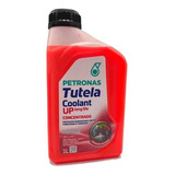 1l