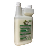 1l