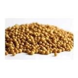 Adubo Fertilizante Osmocote Adubo 15.09.12 8m 2kg
