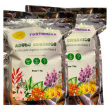 Adubo Orgânico Fortirriza 1kg - Kit 2 Und.