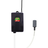 110v