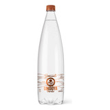 Agua Mineral Lindoya Verao 1,25l Speciali Com Gás