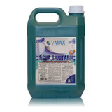 Agua Sanitaria 5l Vmax - Valencia