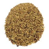 Alfafa Crioula 500gr De Sementes Forrageira, Silo E Feno