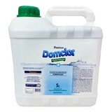 Algicida De Manutenção Domclor 5 Litros Limpeza Para Piscina