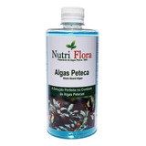 Algicida Petec 120ml - Tratamento Anti Algas Peteca 120ml 