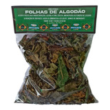 Algodão Folhas Secas Kit 10 Pacotes-