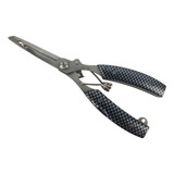 (16cm)
