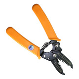 Profissional