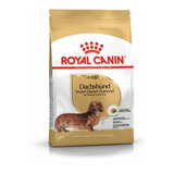Alimento Royal Canin Breed Health Nutrition Dachshund Para Cão Adulto De Raça Mini E Pequena Sabor Mix Em Sacola De 2.5kg