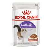 Alimento Úmido Royal Canin Gato Castrado