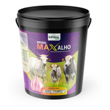 Allium Em Pó - Max Alho 10kg - Contra Moscas E Carrapatos.