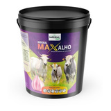 Allium Em Pó - Max Alho