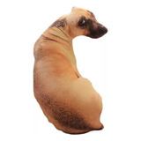 Almofada Cachorro Caramelo Meme 50 Cm