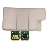 Almofada Espuma Epson L8050 15150 Wf7820 Com Chip
