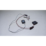 Alto Falante Interno Notebook Toshiba 1462 Semp