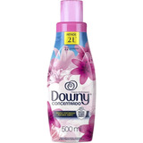 Downy
