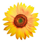 Amarelo