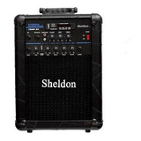 Amplificador Guitarra Sheldon Gtm5000 Cubo 25