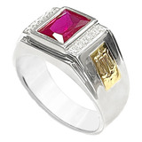 Anel Formatura Prata 950 C/ Emblema Profissão Em Ouro 18k