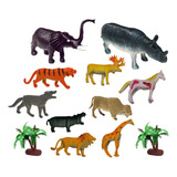 Safari