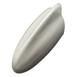 Perolizada
