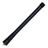 Evx539