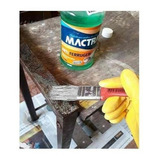 Mactra