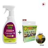 Anti Fungus Gnats Vector Dimy + Placa Adesiva Vaso Pestrap
