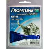 Gatos
