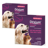 Anti-alergico Coceira Cães Dexium 20cp Kit Economico C/02 Cx