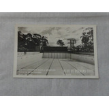 Antigo Cartão Postal Club De Regatas Tietê Piscina 1