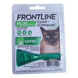 Gatos