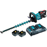 220v