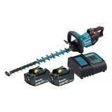 Bivolt