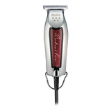 110v