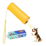 Cachorro