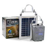 Zebu
