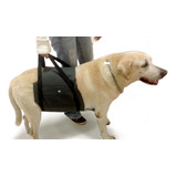 Apoio Suporte Para Cão Com Displasia/dores-tam Mi (52-65cm)