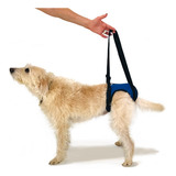 Apoio Suporte Quadril- Displasia E Dores - M Virilha 58-70cm