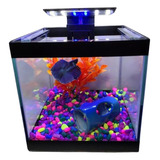 Aquário Beteira Aquabetta 3.8lts - Lum. Led/plantas/ração
