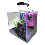 Aquário Betta - Aquabetta Luxo 4,5l Lum. Led/decoração