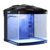Aquario Curvo Boyu Tl-550 Zumbo 128l Preto 110v Spid Fish