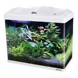 Aquario Curvo Jad Boyu Ec 600 66 Litros Branco 110v