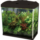 Aquario Curvo Jad Boyu Ec 600 66 Litros Led