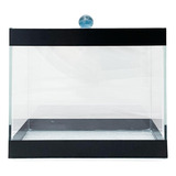 Aquário Para Peixe Betta Betteira 2 Litros 17x9x14cm