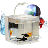 Aquário Peixe Beta Acrilico Completo Filtro Luminária Bivolt