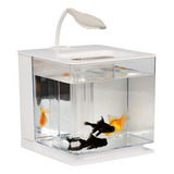 Aquário Peixe Beta Acrílico Filtro Luminária Bivolt Branco