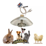 Aquecedor C/ Controle De Temperatura Digital Aves, Pet 400w